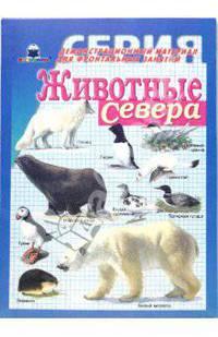 Животные севера. Демонстрационный материал для фронтальных занятий