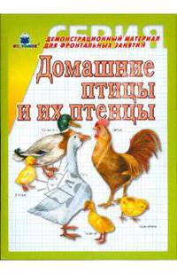 Домашние птицы и их птенцы. Демонстрационный материал для фронтальных занятий