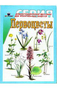Первоцветы. Демонстрационный материал для фронтальных занятий.