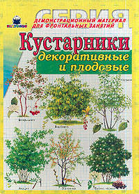 Кустарники декоративные и плодовые
