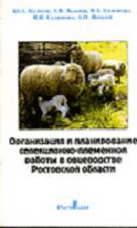 Организация и планирование селекционно-племенной работы в овцеводстве Ростовской области.