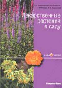 Лекарственные растения в саду - (СадыРоссии)