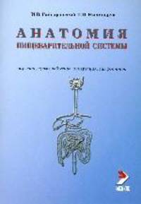Анатомия пищеварительной системы. Строение, кровоснабжение, иннервация, лимфоотток: Учебное пособие