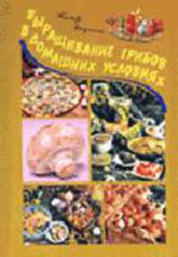 Выращивание грибов в домашних условиях.