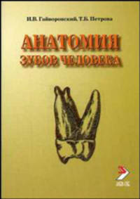 Анатомия зубов человека.Учебное пособие по анатомии человека.Гриф РИСО мед. Факультета СПбГУ.