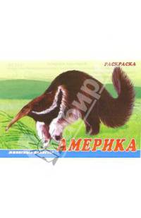 Животные Америки. Раскраска (М-014)
