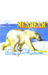 Медведи. Раскраска (М-008)