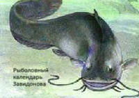 Рыболовный календарь Завидонова