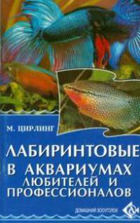Лабиринтовые в аквариумах любителей и профессионалов - (Домашний зооуголок)