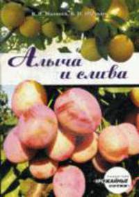 Алыча и слива