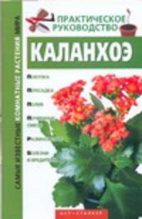 Каланхоэ