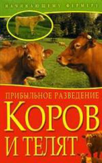 Прибыльное разведение коров и телят