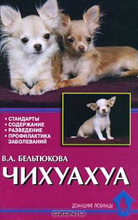 Чихуахуа. Стандарты. Содержание. Разведение. Профилактика заболеваний