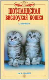 Шотландская вислоухая кошка. ум и обаяние. (н/о)