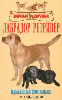 Лабрадор ретривер. Идеальный компаньон