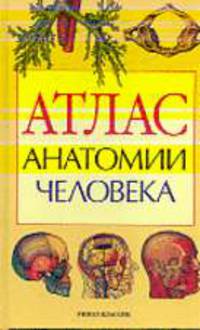 Атлас анатомии человека: Учебное пособие для медицинских учебных заведений
