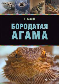 Бородатая агама