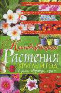 Красивоцветущие растения круглый год