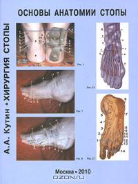 Хирургия стопы. Основы анатомии стопы. Купин А.А.