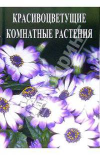 Красивоцветущие комнатные растения