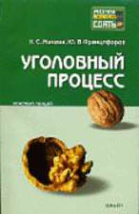 Уголовный процесс. Конспект лекций