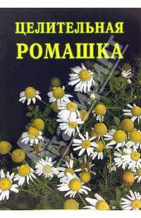 Целительное каланхоэ