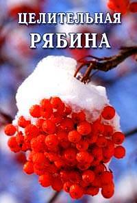 Целительная рябина