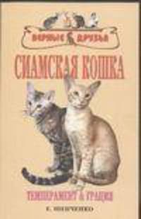 Сиамская кошка. Темперамент и грация