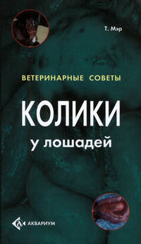 Колики у лошадей