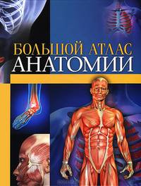 Большой атлас анатомии / Шулер М.