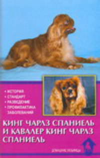 Кинг чарлз спаниель и кавалер кинг чарлз спаниель