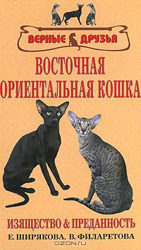 Восточная ориентальная кошка. Изящество и преданность