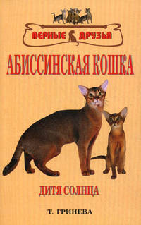 Абиссинская кошка