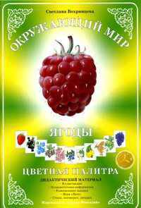 Дидактический материал. Окружающий мир. Цветная палитра. Ягоды