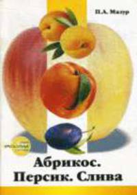 Абрикос. Персик. Слива