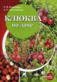 Клюква на даче