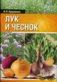 Лук и чеснок