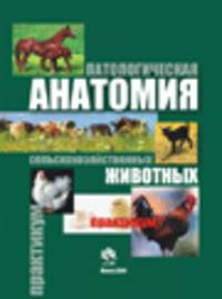 Патологическая анатомия сельскохозяйственных животных: Практикум: Учебное пособие для студентов высших сельскохозяйственных учебных заведений по специальности 'Ветеринарная медицин