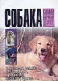 Собака - самый верный друг