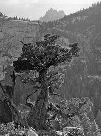Yosemite