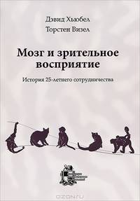 Мозг и зрительное восприятие. История 25-летнего сотрудничества