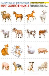 Комплект мини-плакатов. Российская символика: Флаг, Герб, Гимн, Президент