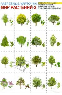 Мир растений-1. Комплект разрезных карточек/ А4, 4 листа