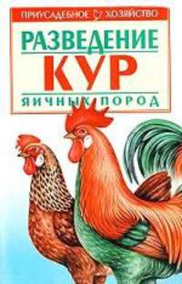 Разведение кур яичных пород