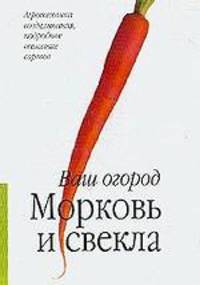 Морковь и свекла: Агротехника возделывания, подробное описание сортов