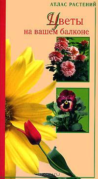 Цветы на вашем балконе