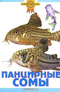 Панцирные сомы