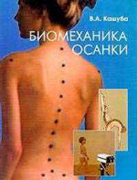 Биомеханика осанки