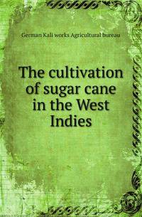 The cultivation of sugar cane in the West Indies