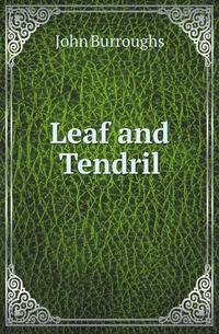 Leaf and Tendril